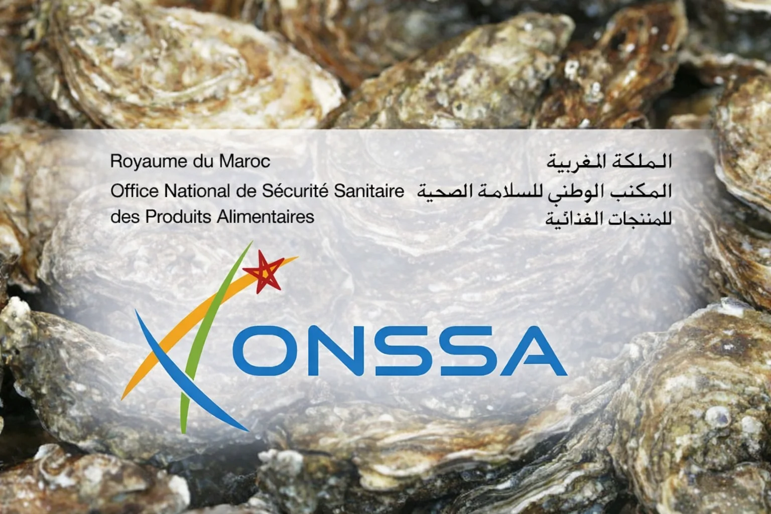 Les Maîtres des Huîtres