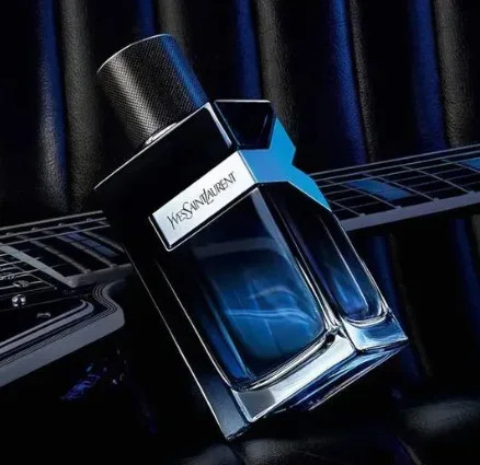 Y EDP - YSL