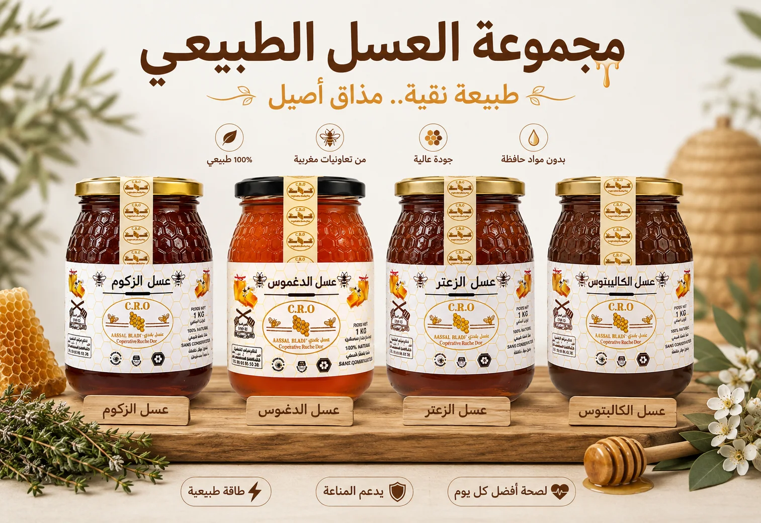 Discover Radiance