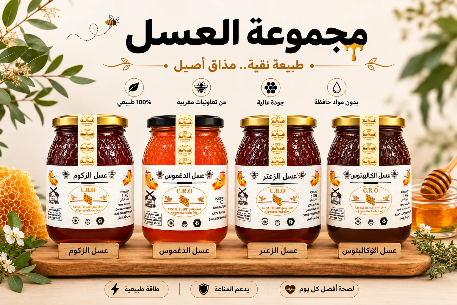 Discover Radiance