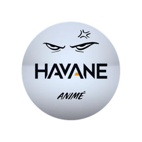 T-SHIRT ANIMÉ