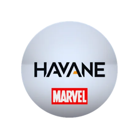SWEATSHIRT MARVEL'S x HAVANE