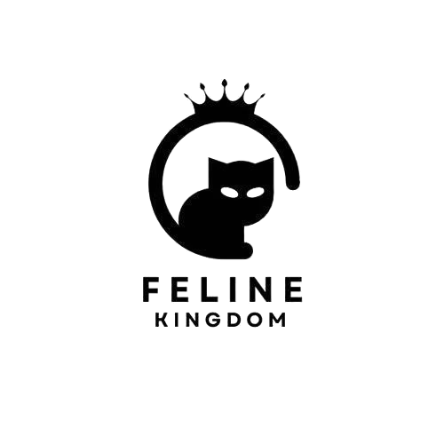premium style store