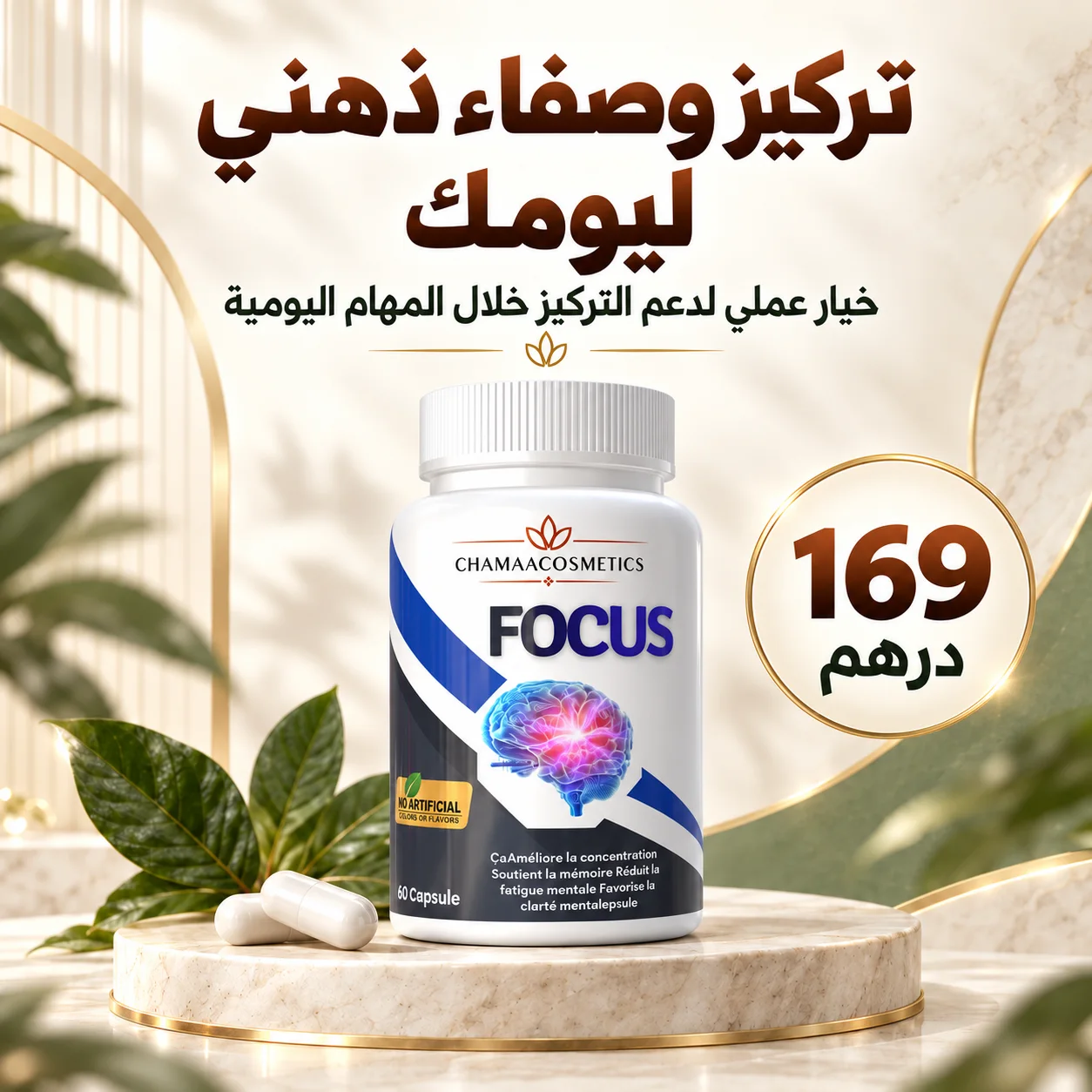 التركيز (Focus)