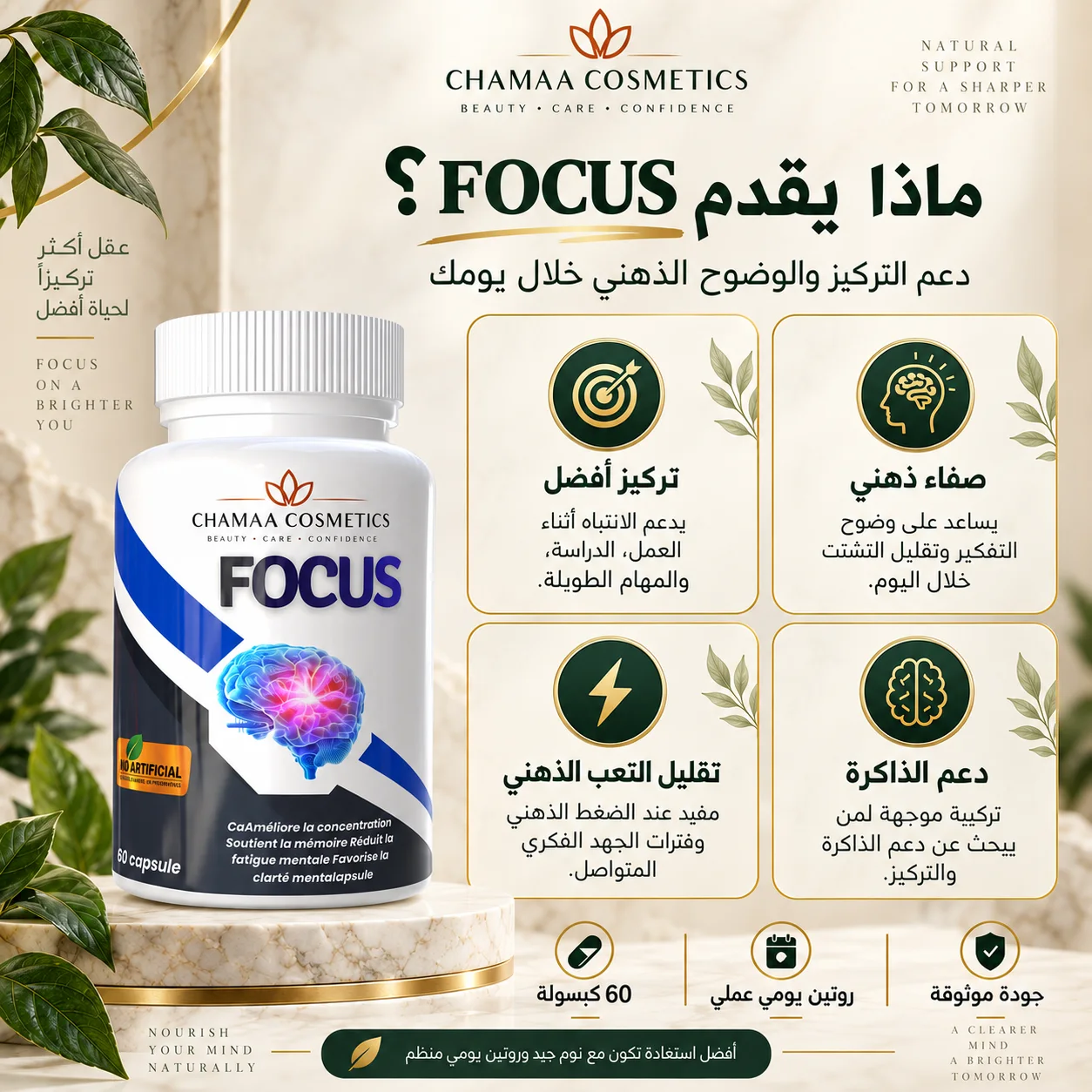 التركيز (Focus)