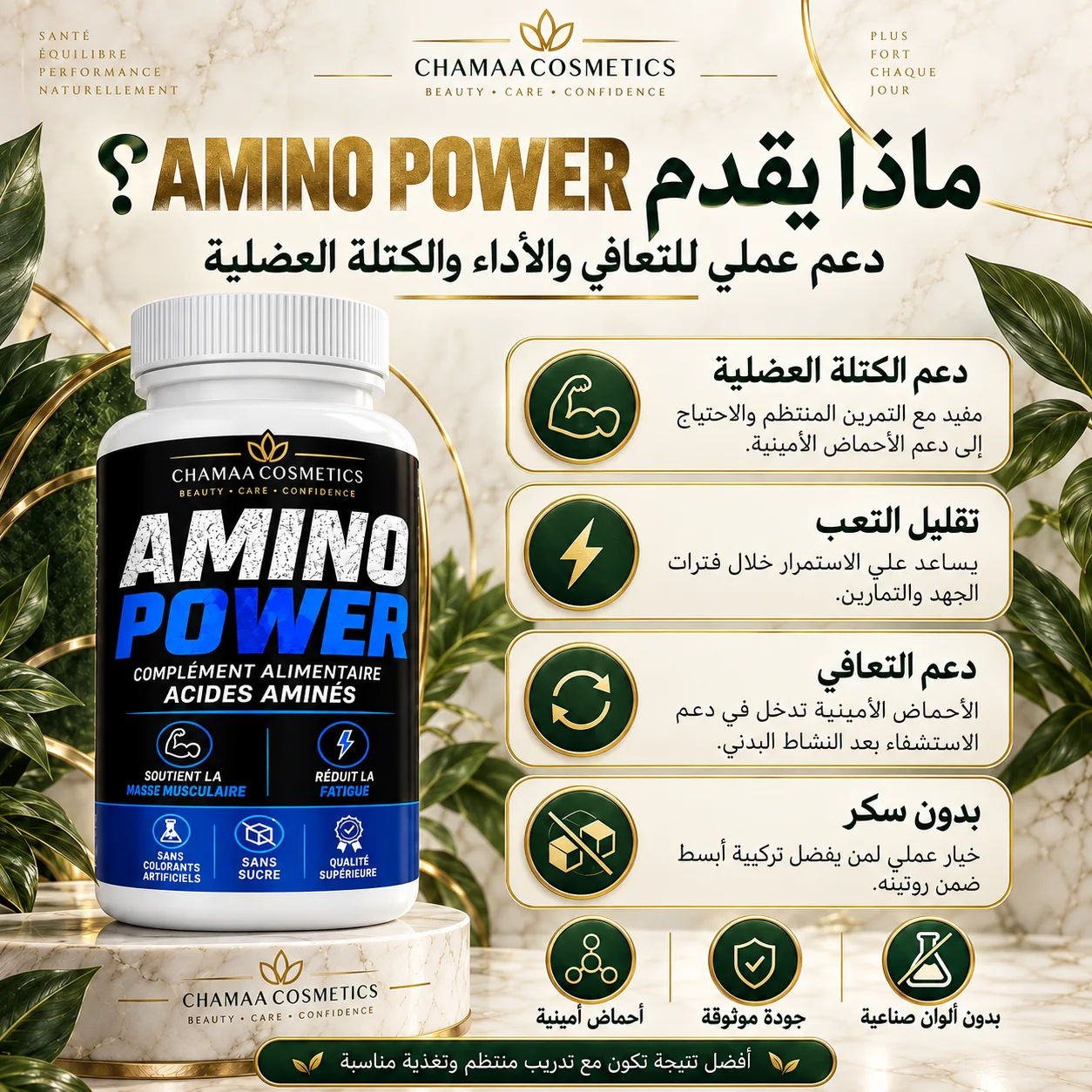 الأحماض الأمينية (Amino Power)