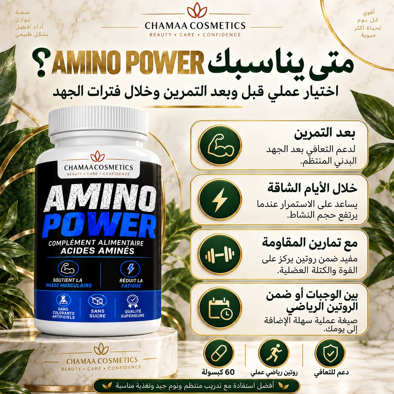 الأحماض الأمينية (Amino Power)
