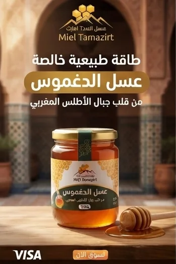 عسل الدغموس المغربي الحر 100%