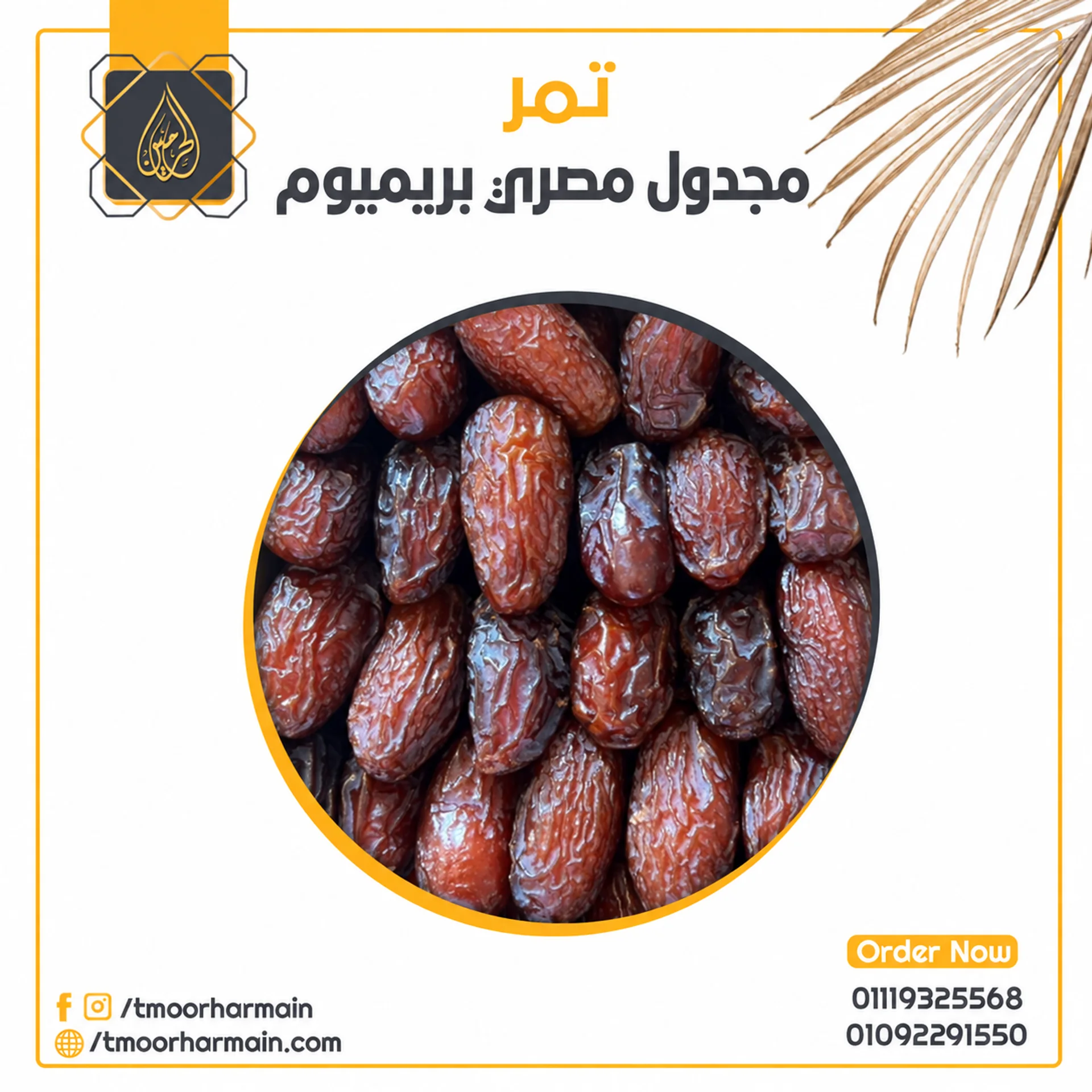 تمر مجدول مصري بريميوم (1 كيلو)
