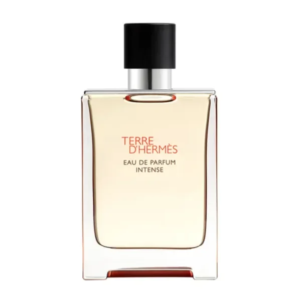 TERRE D'HERMÈS Eau de parfum intense - 100ML