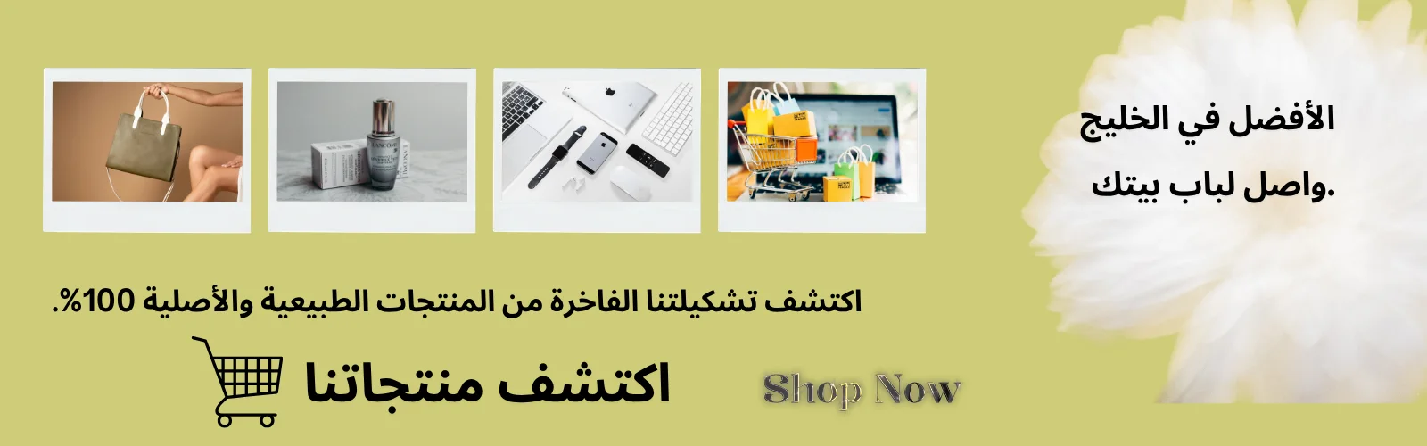 slider-image