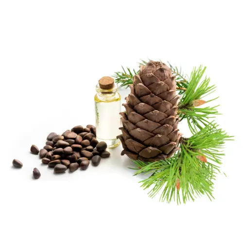 زيت أرز الأطلس الأساسي