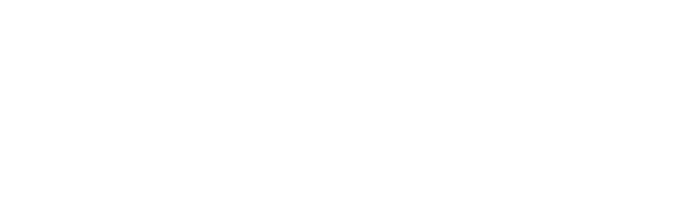vizio-biza