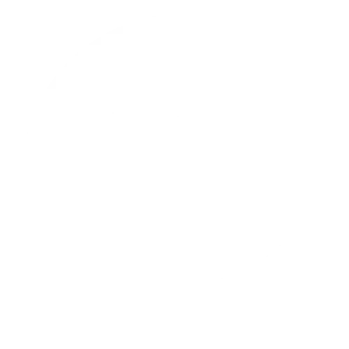 Cashdash