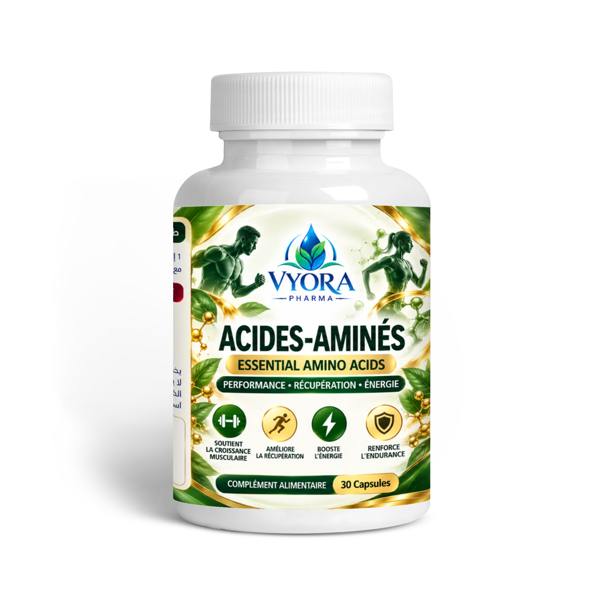 Acides Amines