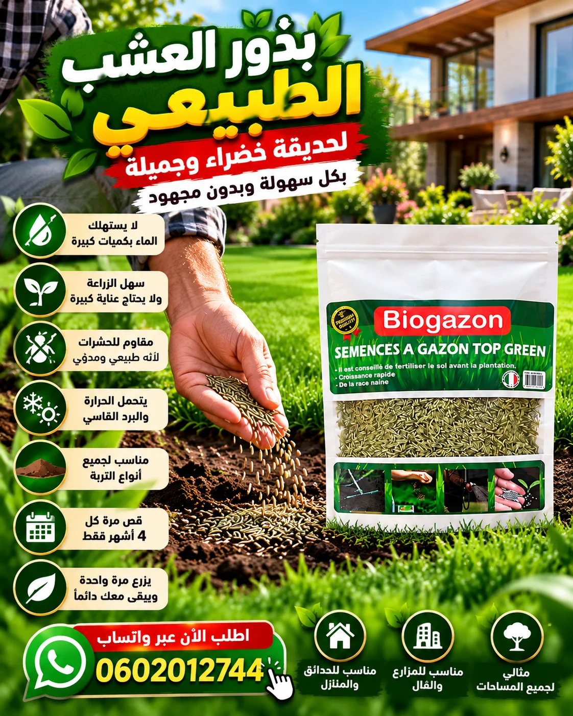بذور العشب الطبيعي