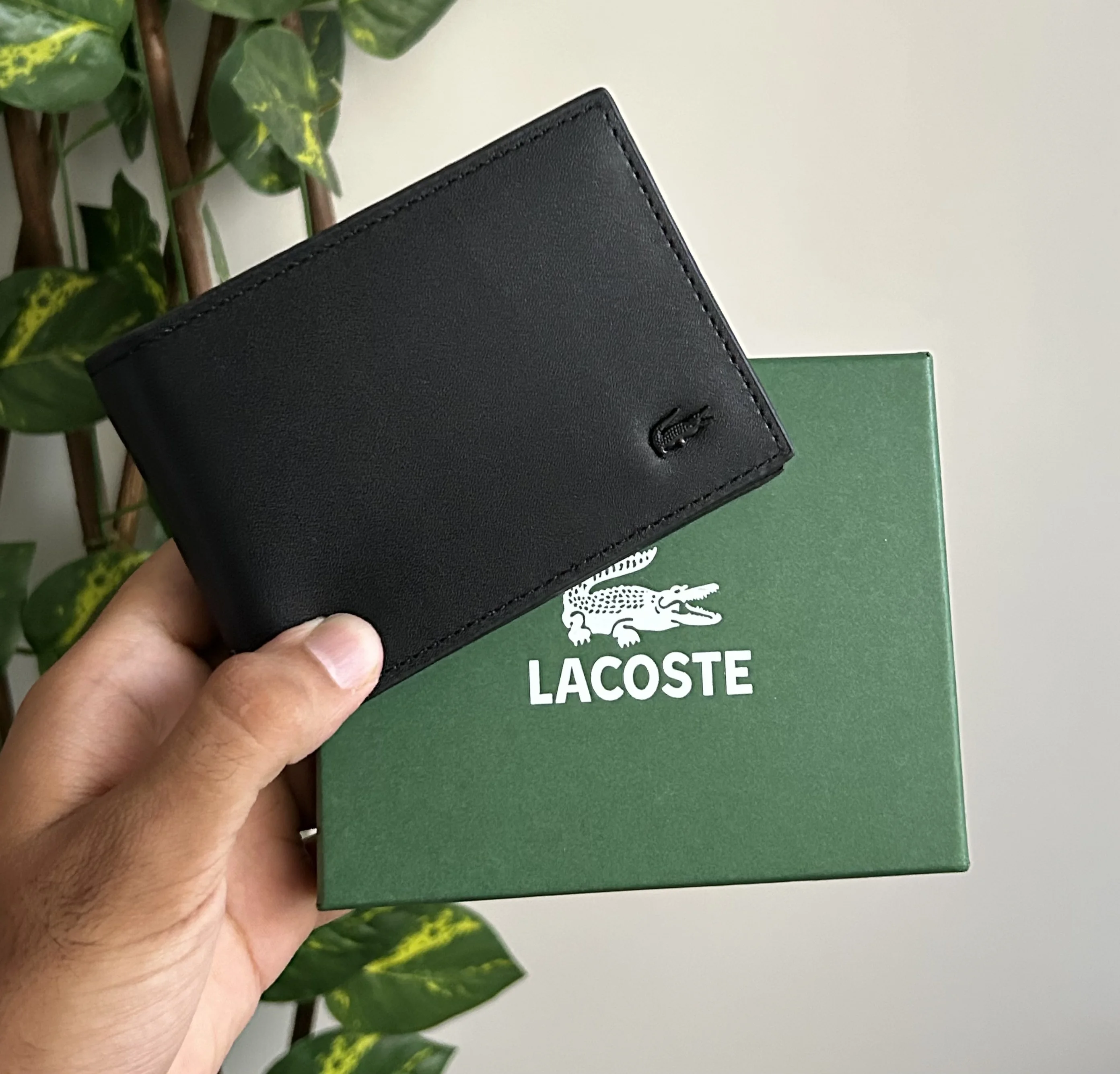 PM LACOSTE NOIRE
