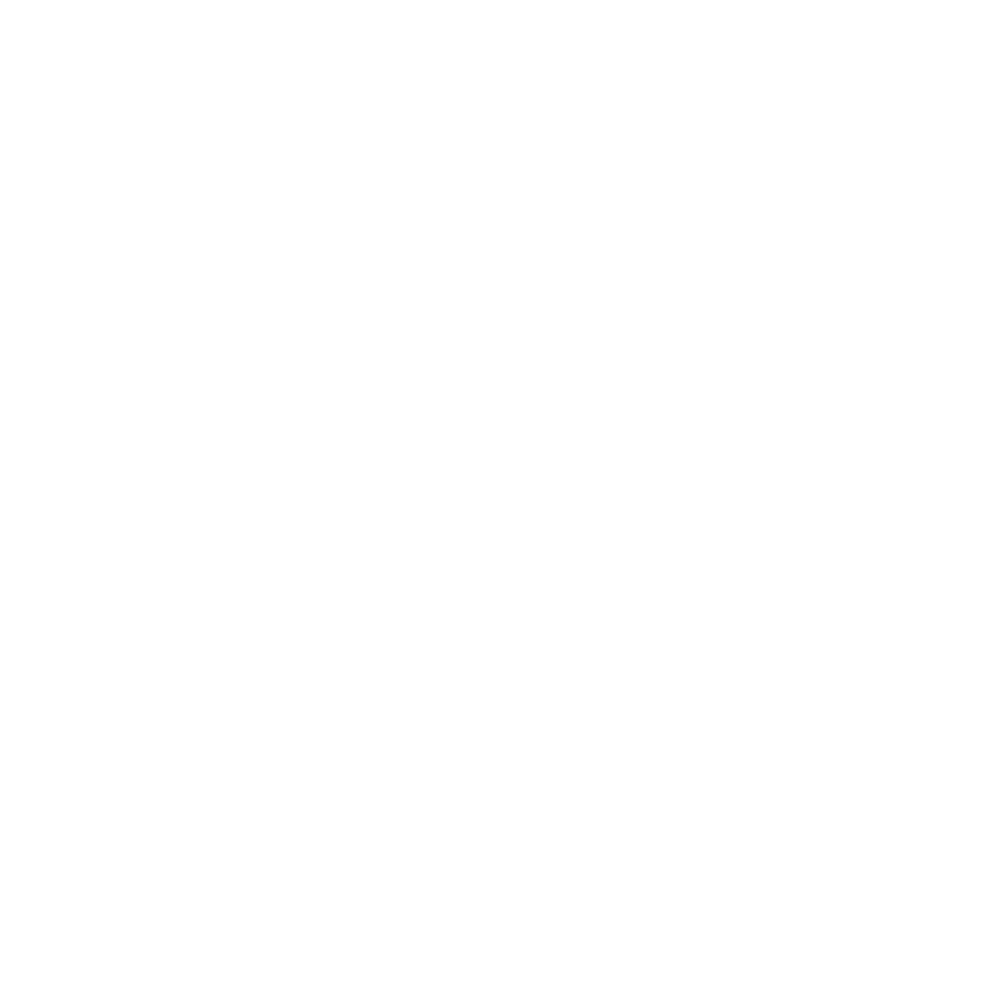 RILIXS