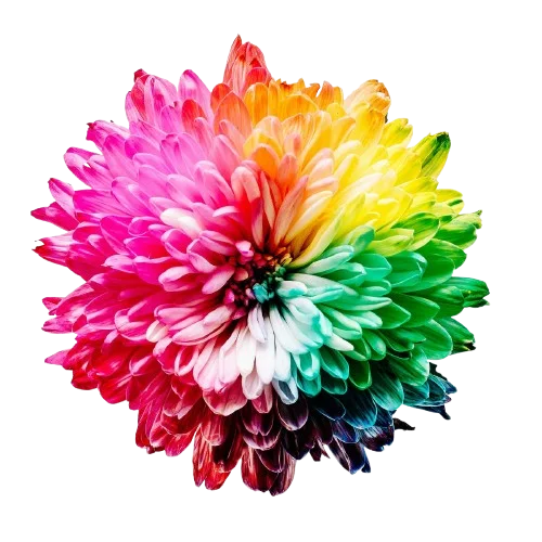 Qualité éblouissante