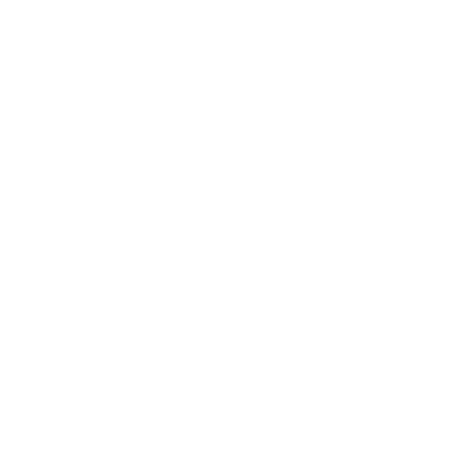 BelBirG