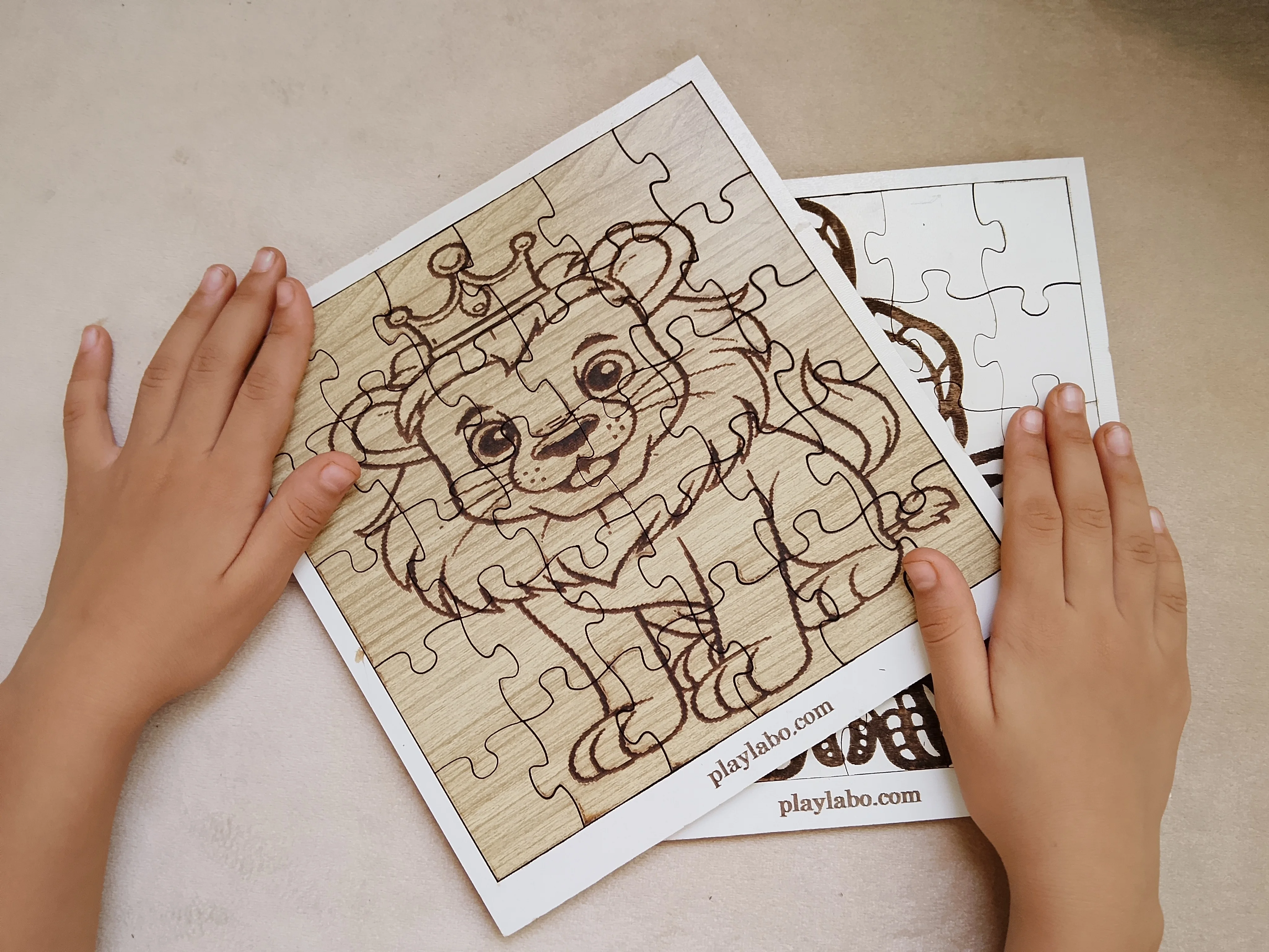 ( Le Lionceau (Puzzle éducatif