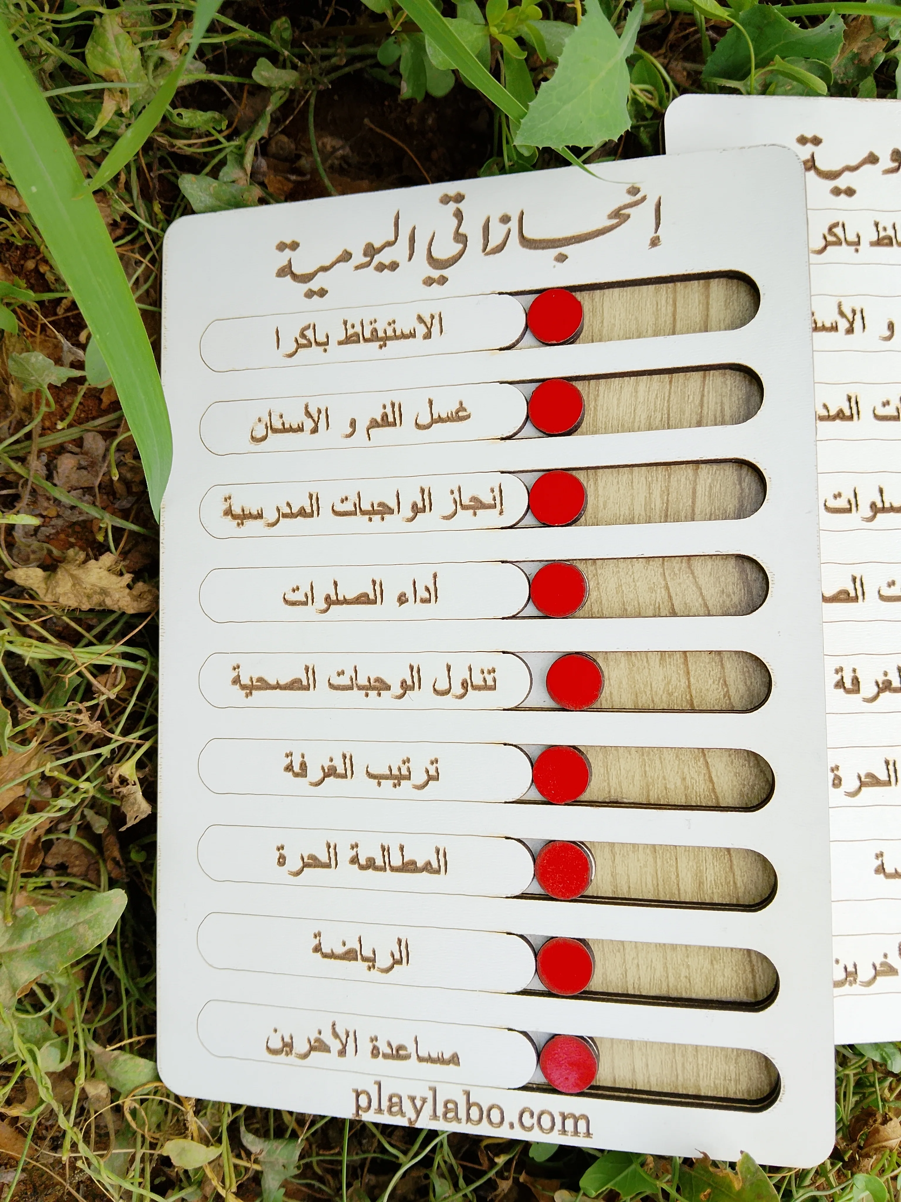 لوح الإنجازات اليومية   Tableau des réussites quotidiennes