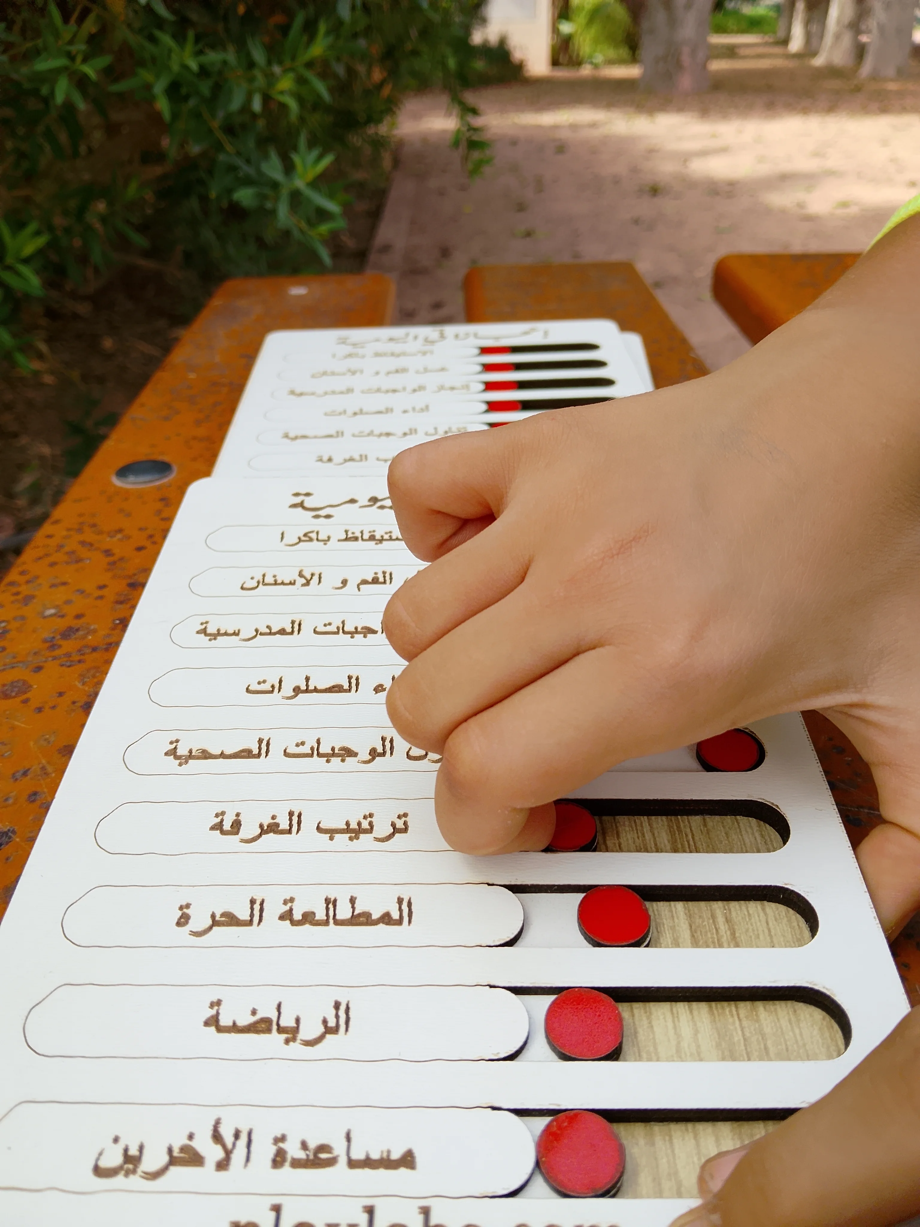 لوح الإنجازات اليومية   Tableau des réussites quotidiennes