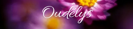 Oudélys
