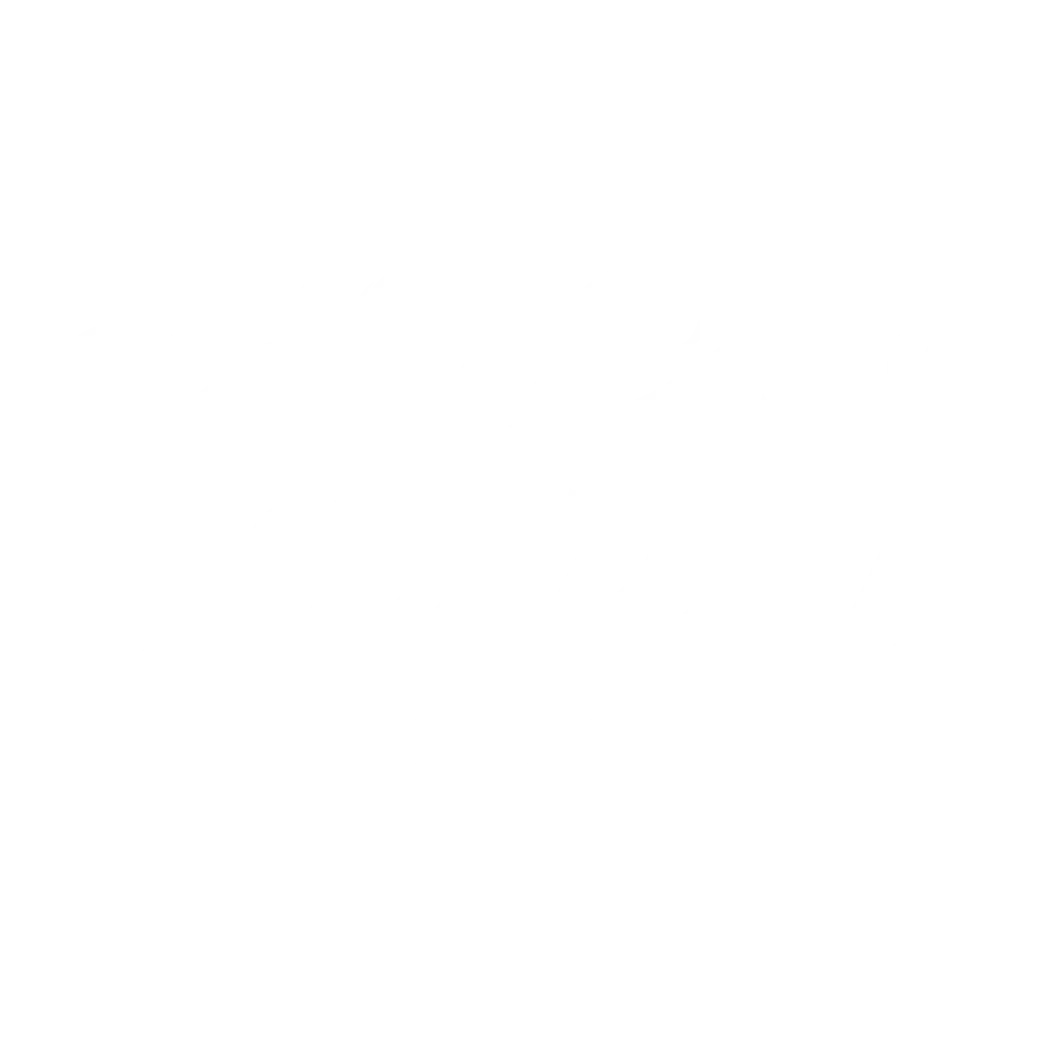 mostafa moul zaria