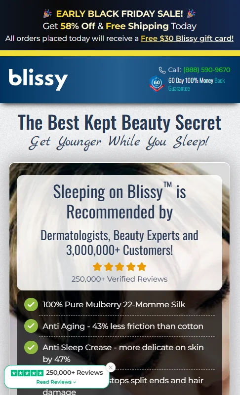 Blissy Silk Pillowcase