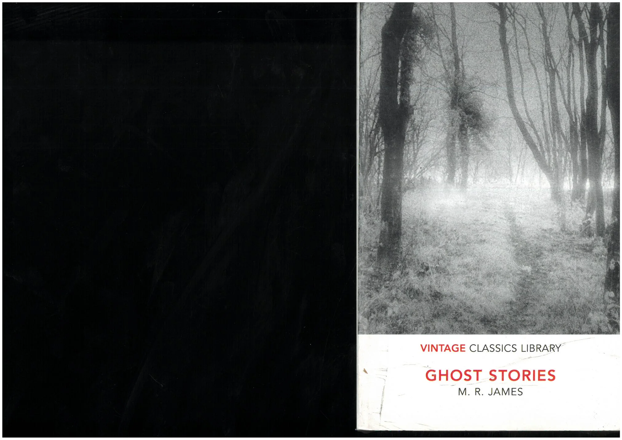 GHOST STORIES M.R.JAMES VINTAGE CLASSICS - Vue 2