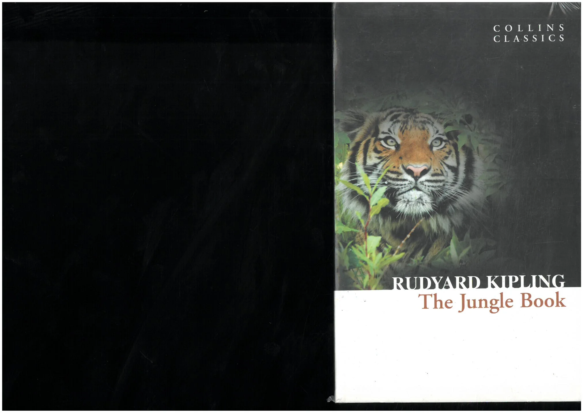 THE JUGLE BOOK - Rudyard Kipling - HARPER COLLINS - Vue 2