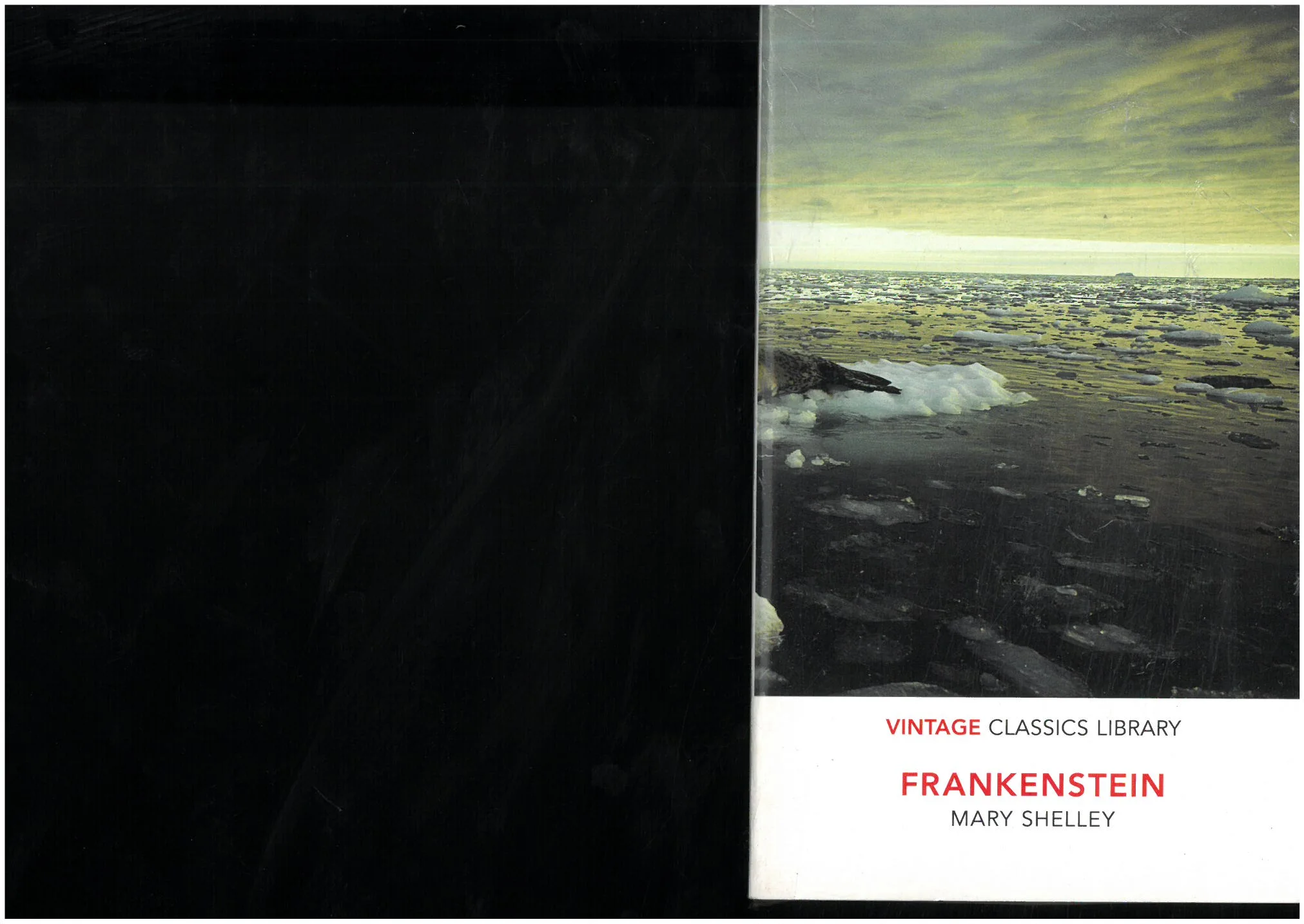 Frankenstein - MARY SHELLEY - Vintage classics library - Vue 2