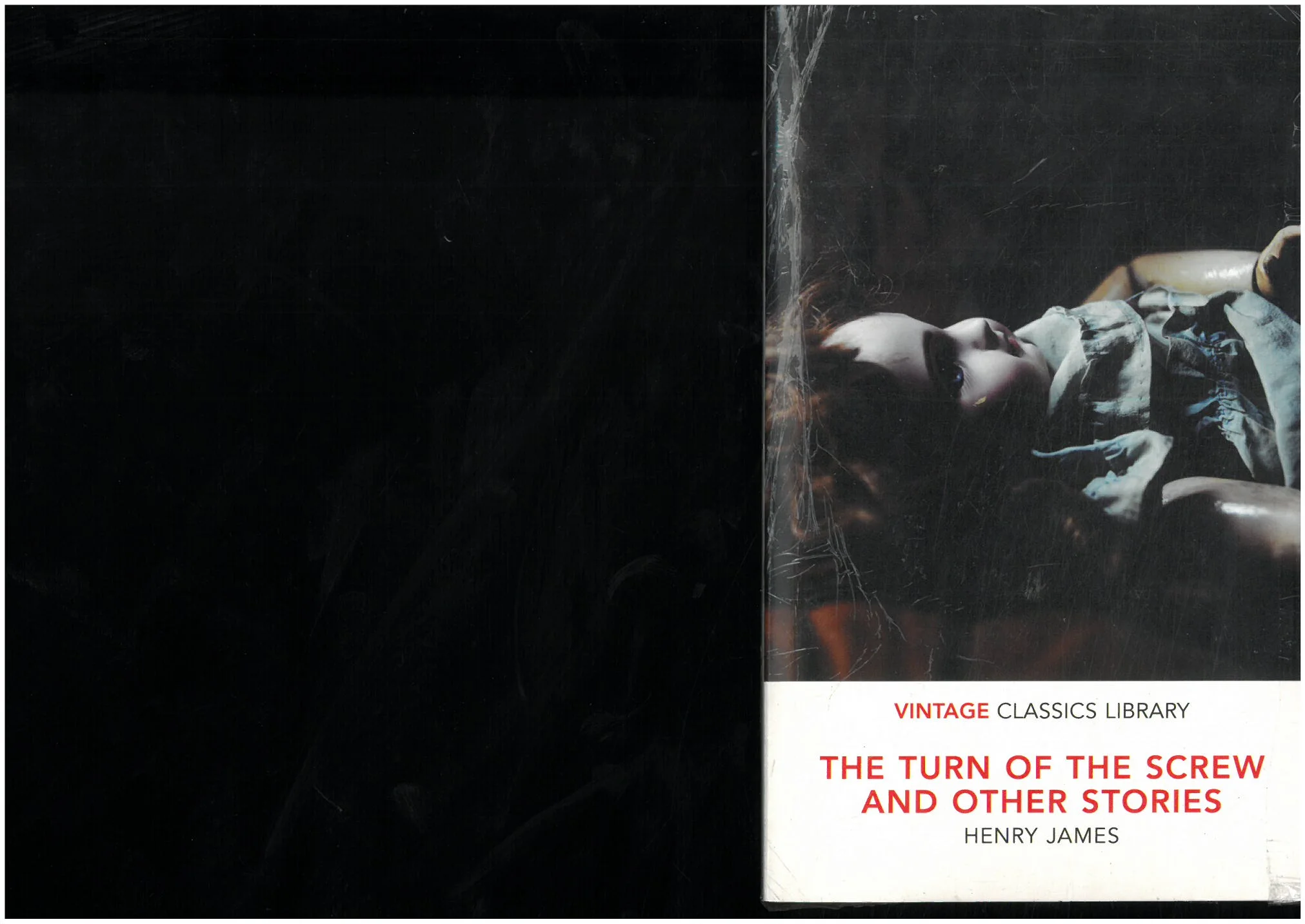 TURN OF THE SCREW AND OTHER STORIES THE VINTAGE CLASSICS A FORMAT - Vue 2
