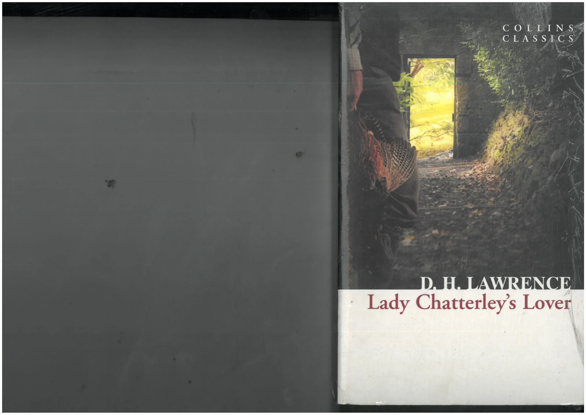 LADY CHATTERLEY'S LOVER D. H. LAWRENCE COLLINS CLASSICS - Vue 2
