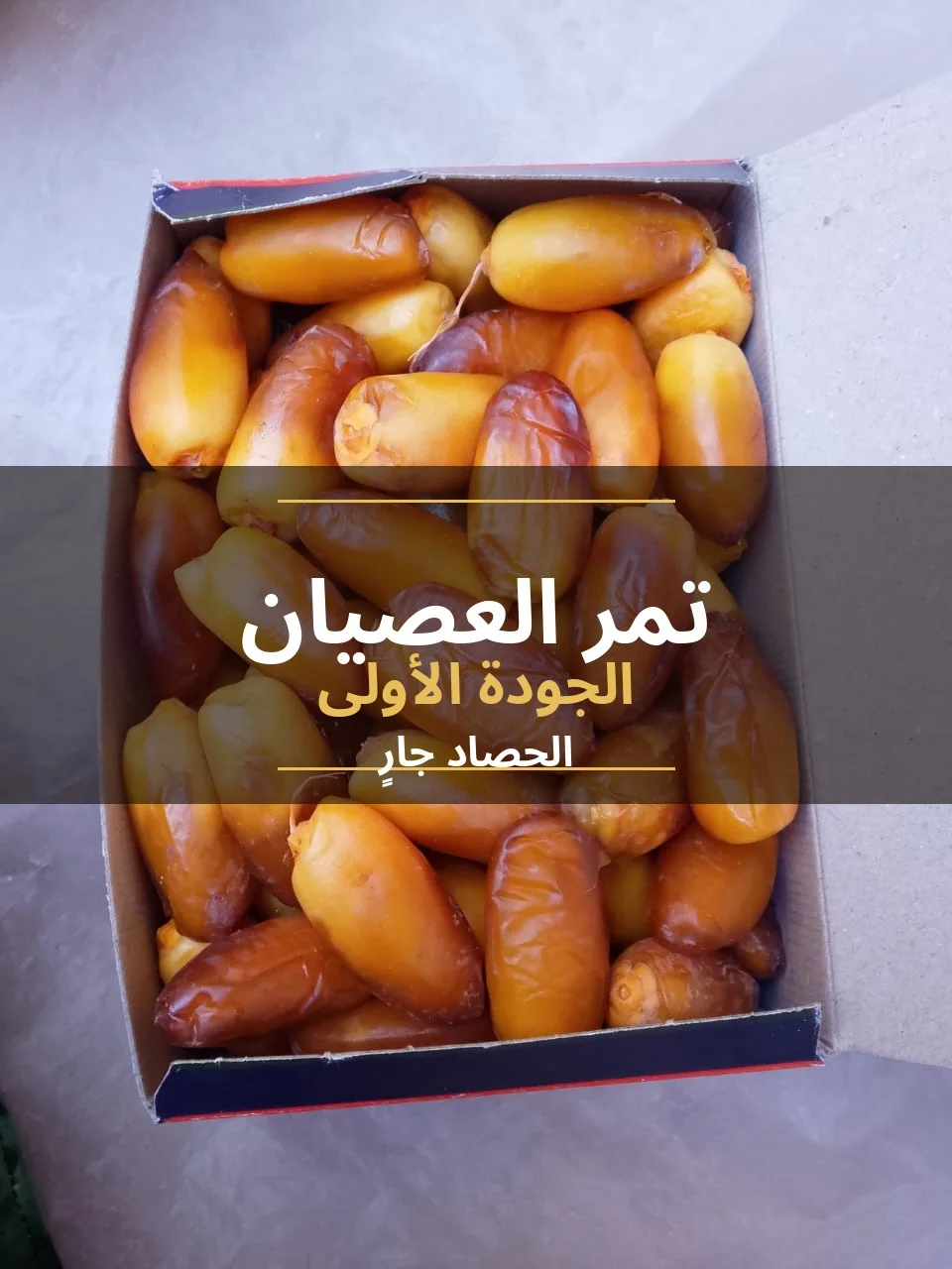 تمور العصيان – حلاوة طبيعية وأصالة من فكيك!