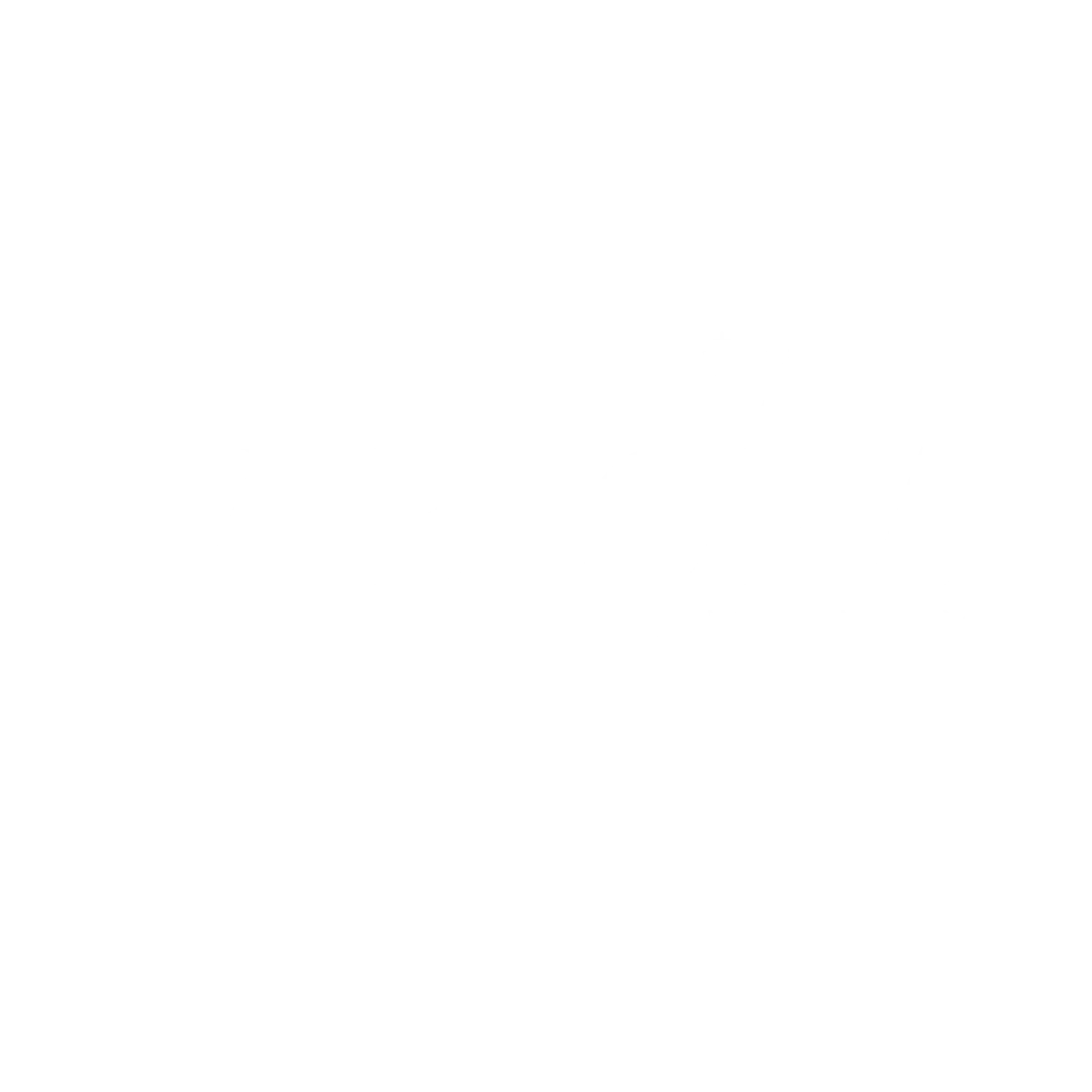 V-ELORA