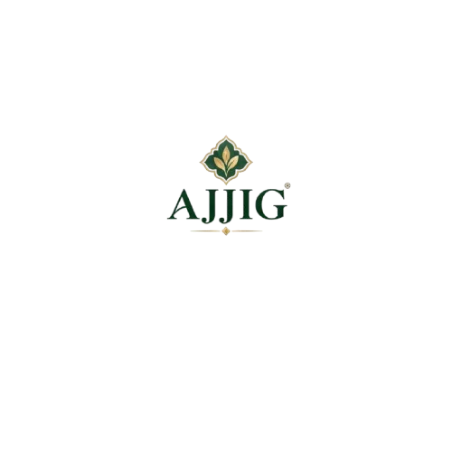 ajjig.ma