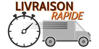 Livraison rapide