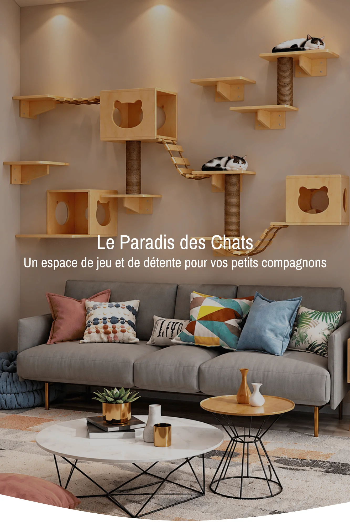 slider-image