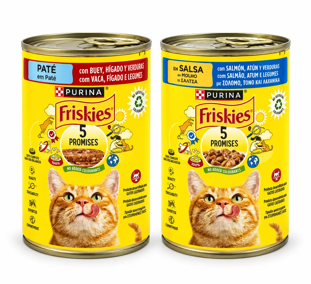 Purina Friskies – Pâtée pour Chat au Bœuf, Foie & Légumes / Émincés en Sauce au Saumon, Thon & Légumes