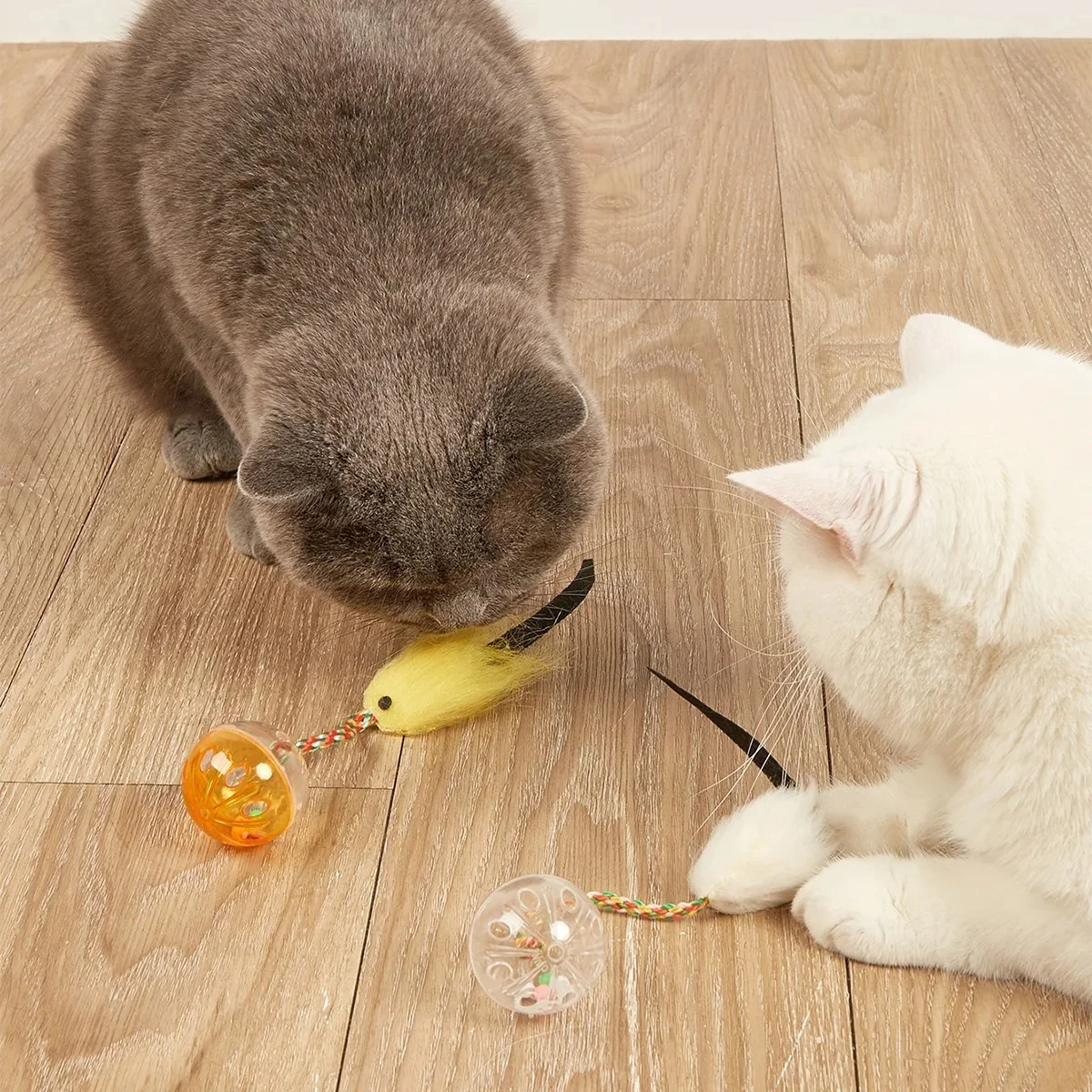 Jouet pour Chat avec Balle Hochet et Souris à Plumes – Jouet Interactif pour Chat